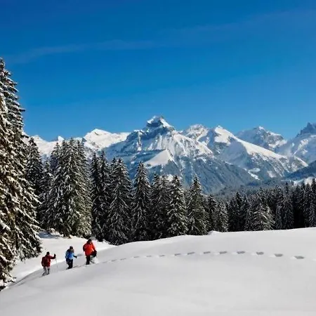 Sleeps 6 Wifi * Engelberg